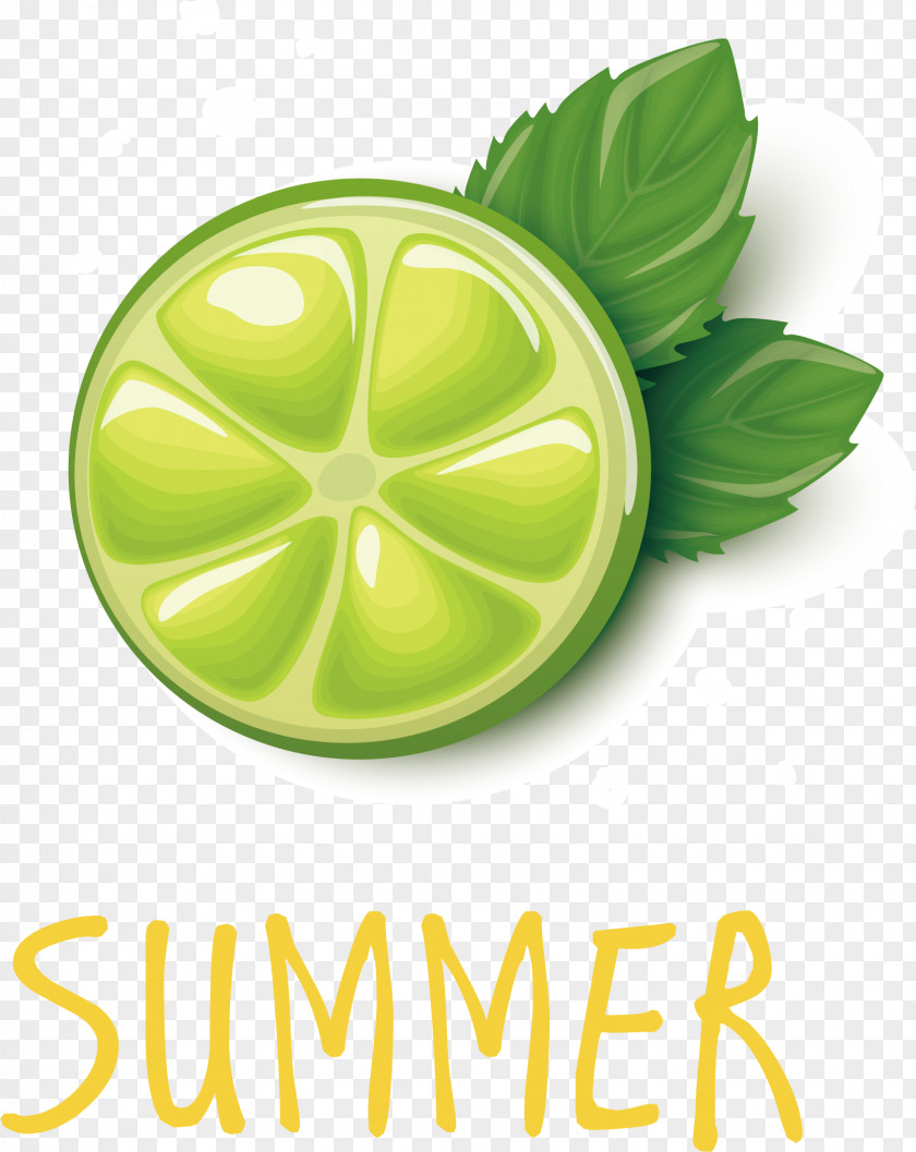 Green Grapefruit Vector Lime Lemon Juice Pomelo PNG