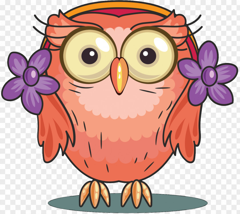Owl Image Cartoon Vector Graphics Illustration PNG