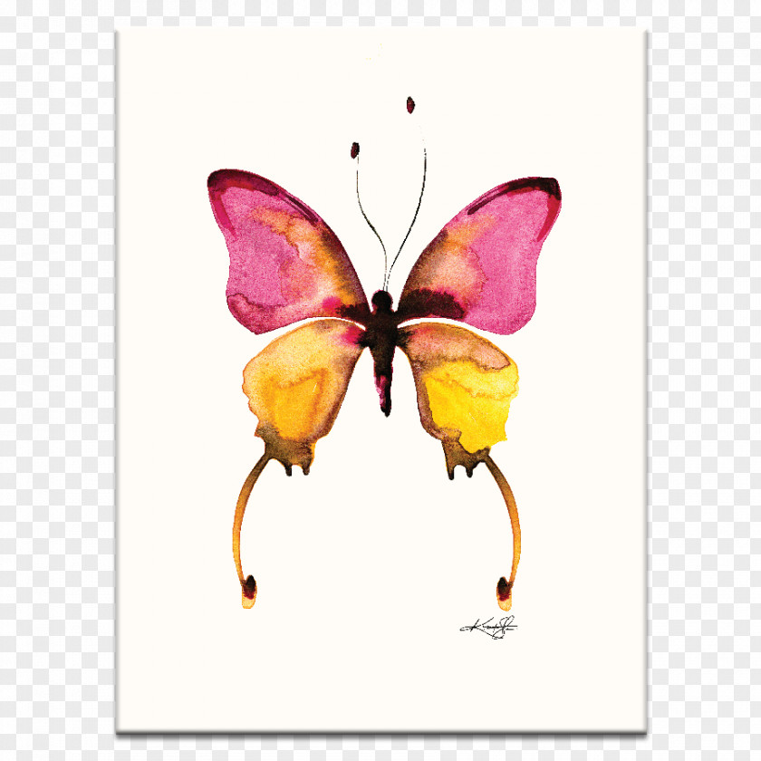Butterfly Watercolor Painting Art Canvas PNG