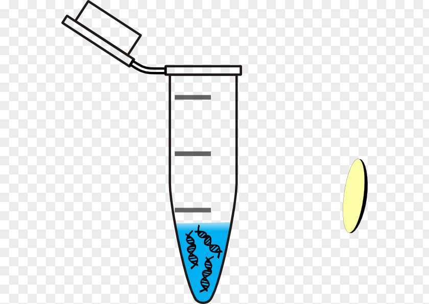 Dna Testing Laboratory Centrifuge DNA Eppendorf Test Tubes Clip Art PNG
