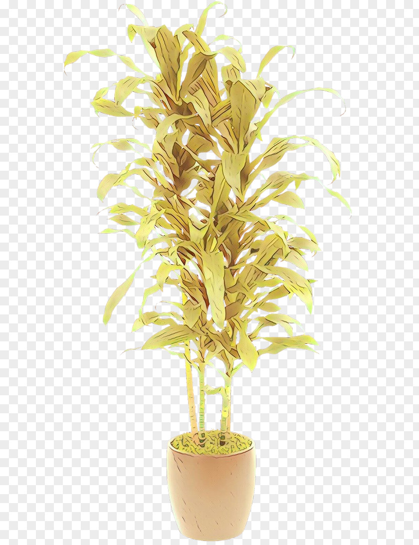 Flowerpot Tree Arecales Houseplant PNG