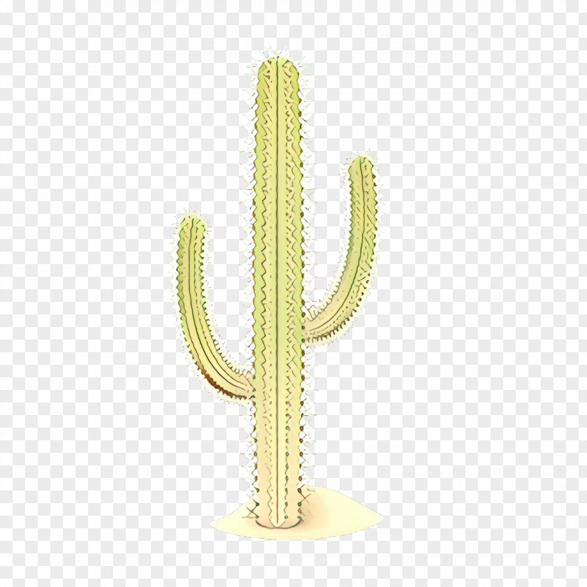 Hedgehog Cactus Succulent Plant PNG