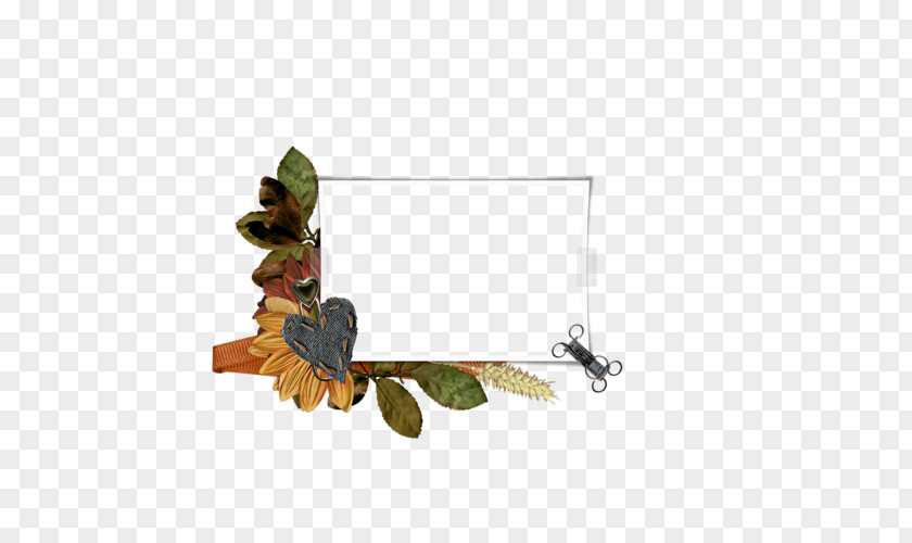 Insect Painting Membrane PNG
