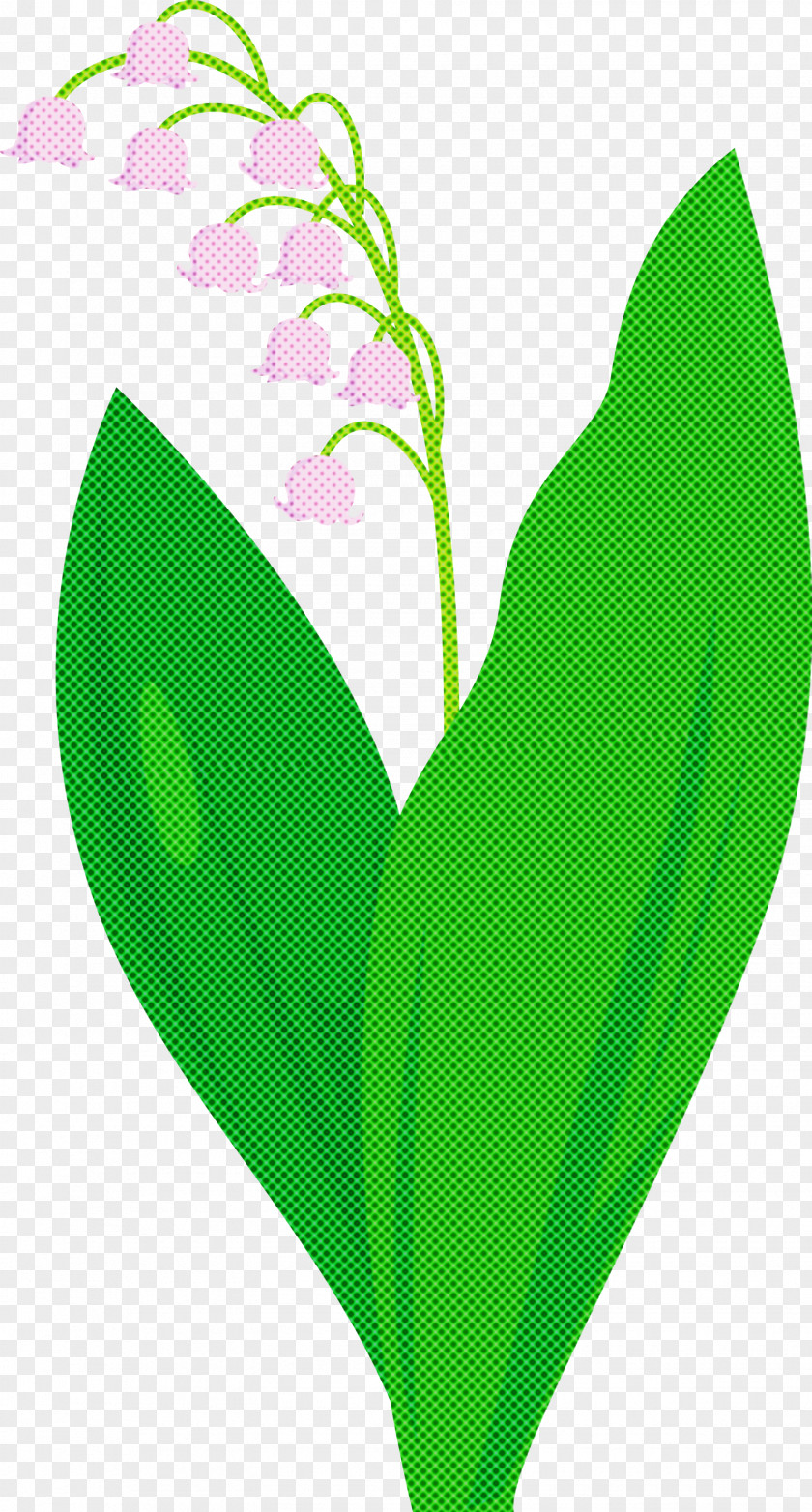 Lily Bell Flower PNG