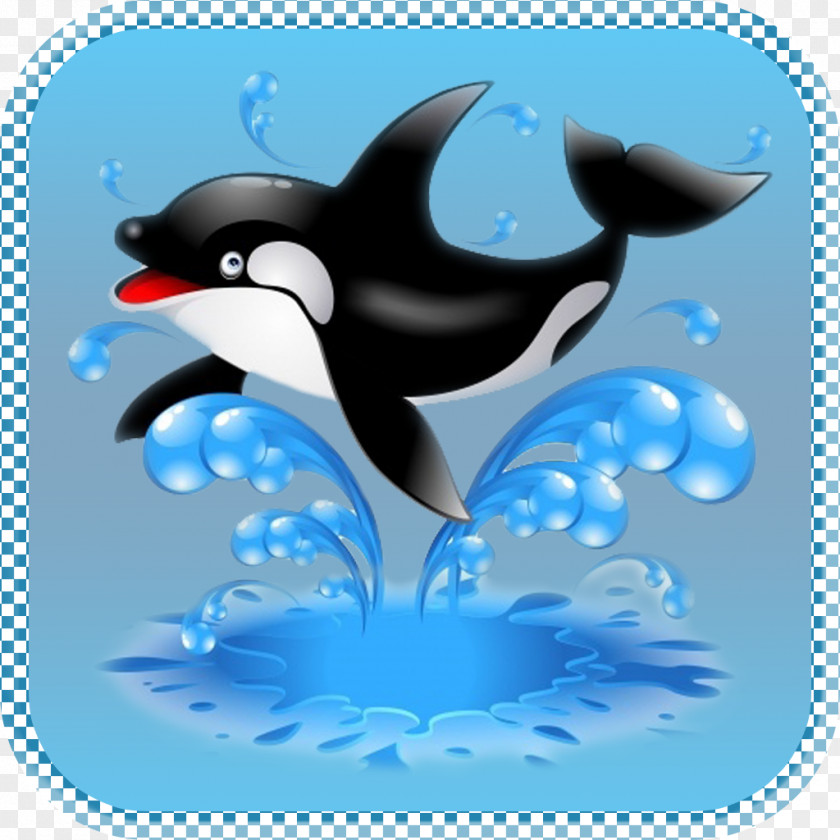 Sea Animals Dolphin Killer Whale Marine Mammal Penguin Cetacea PNG