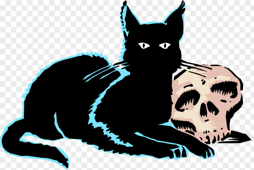 Black Cat Whiskers Clip Art PNG