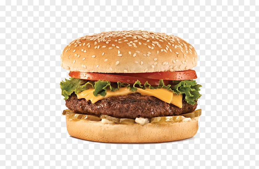 Burgers Infographic Hamburger Cheeseburger Veggie Burger Image PNG