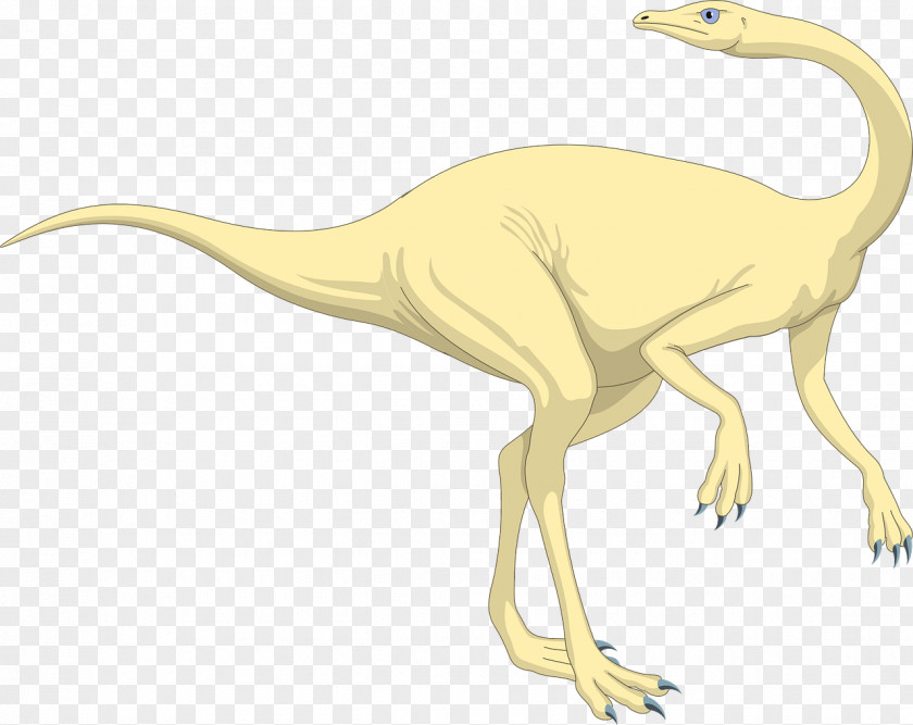 Dinosaur Velociraptor Reptile Tyrannosaurus Stegosaurus PNG
