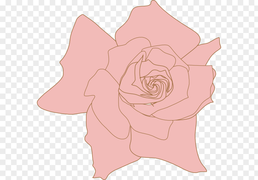 Garden Roses Flower Pink Floral Design Petal PNG