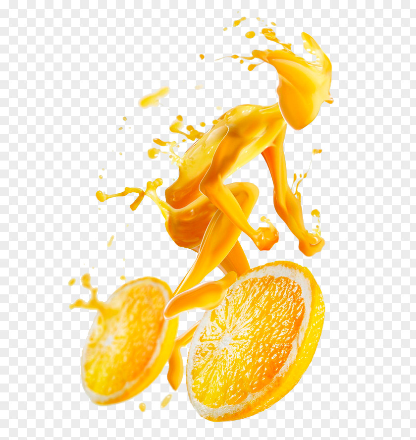 Orange Creative Design Juice Lemon Squeezer Grapefruit PNG