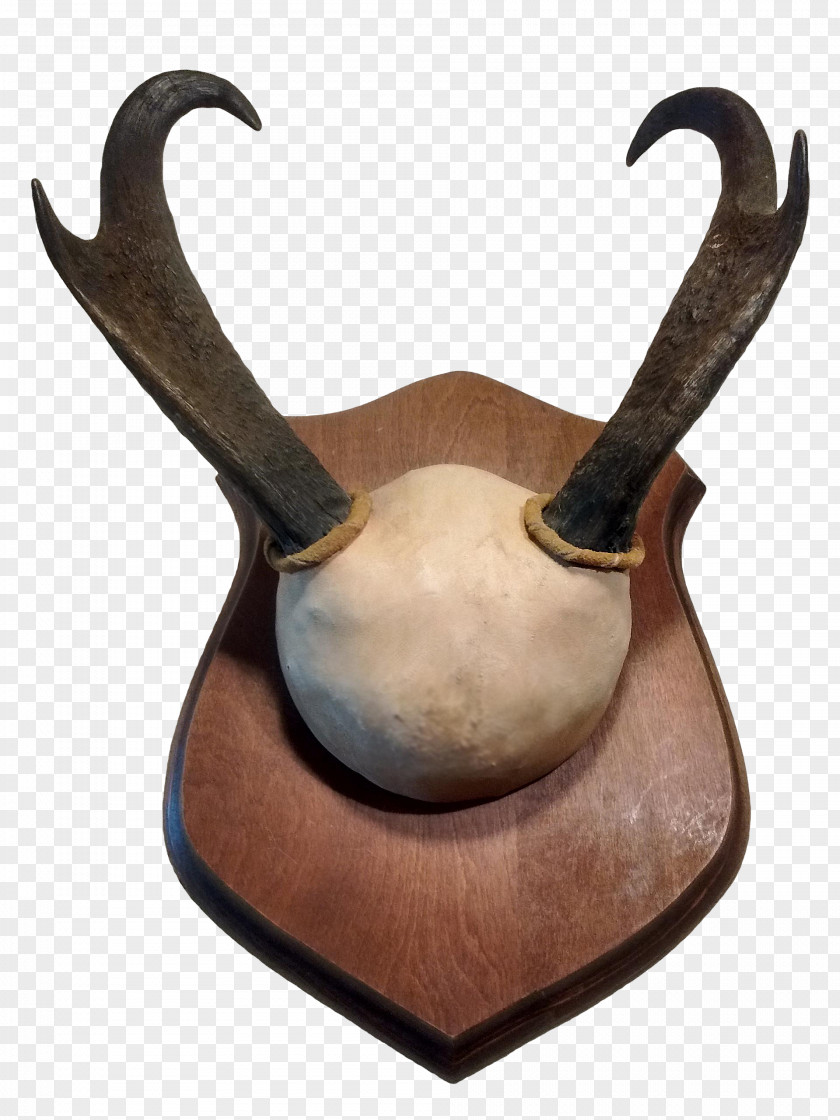 Pronghorn Sable Antelope Antler PNG