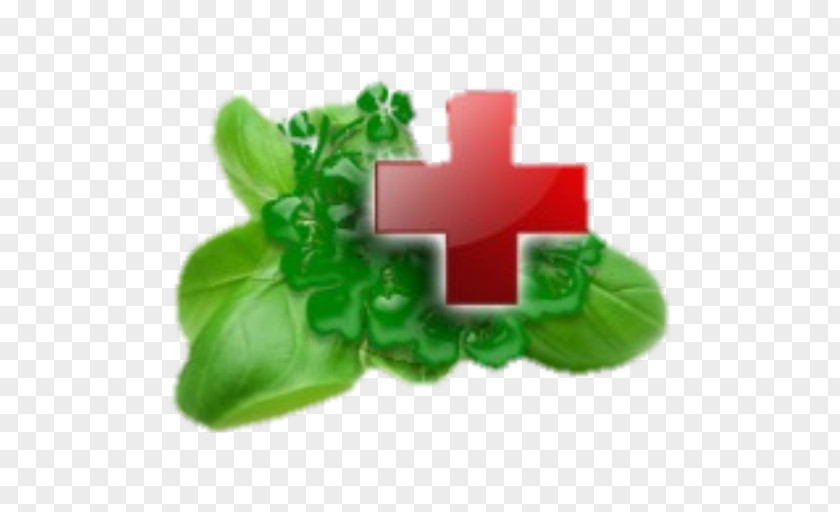 Therapy Herb Medicinal Plants Disease Pharmaceutical Drug PNG