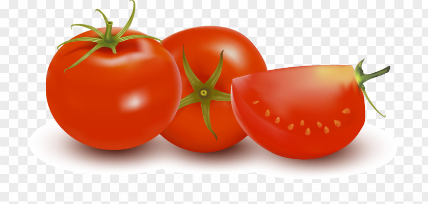 Tomato Plum Vegetarian Cuisine PNG