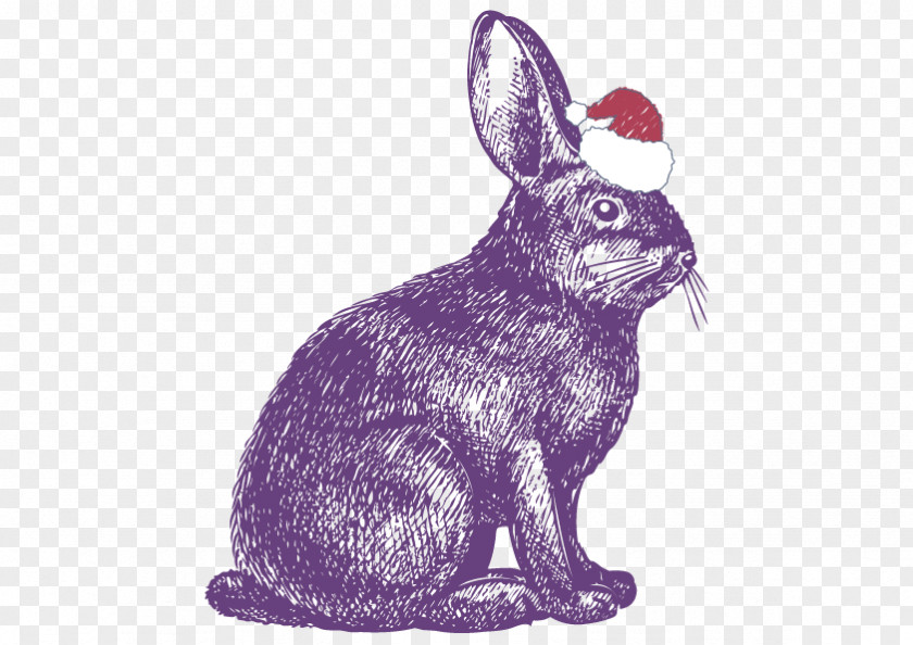Vector Purple Rabbit Show Jumping Drawing Illustration PNG