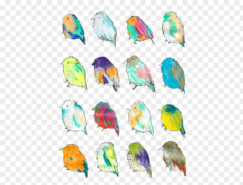 Hippie The Birds Of America Painting Drawing PNG