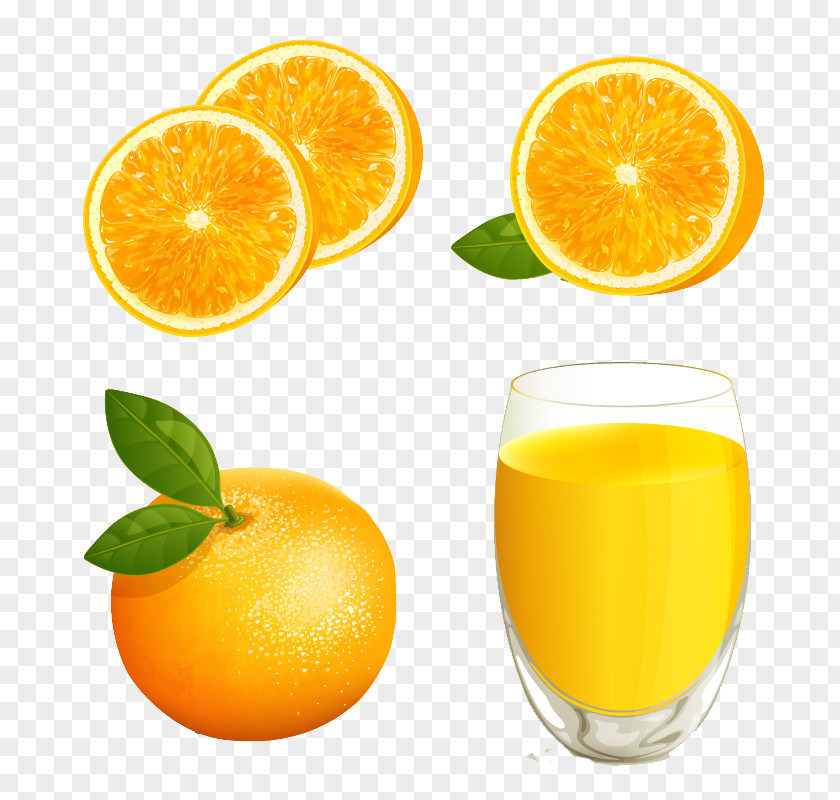 Orange And Juice Illustration PNG