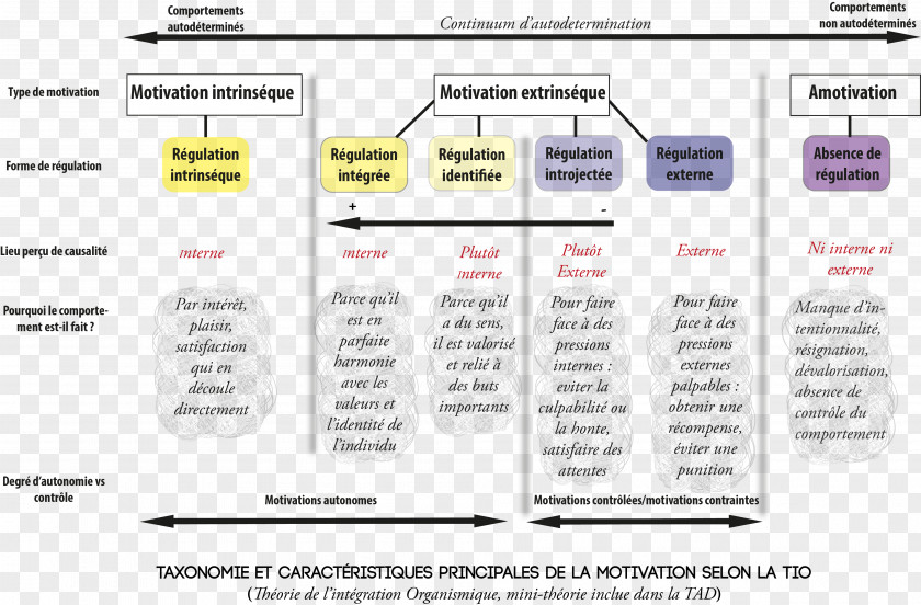 Organism Self-determination Theory Motivation Flow Schema PNG