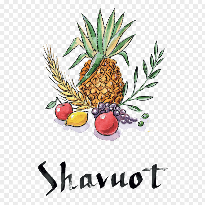 Pineapple Shavuot Sukkot Jewish Holiday PNG