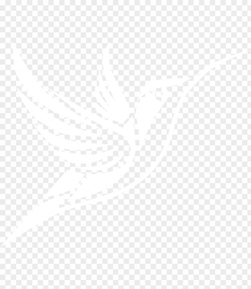 United States Logo Manly Warringah Sea Eagles Lyft Organization PNG