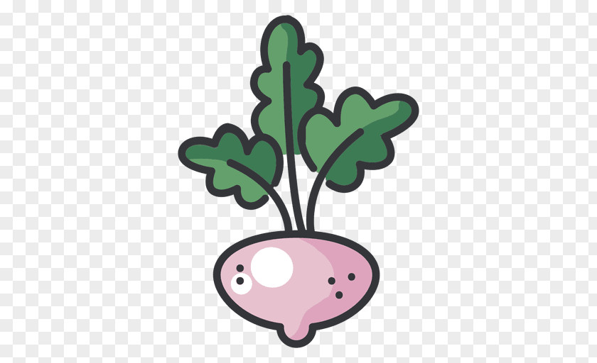 Vegetable Turnip Color Clip Art PNG