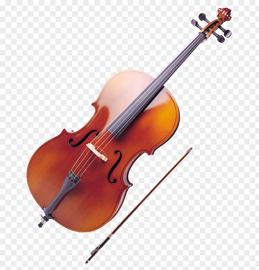 Violin Ukulele Cello Musical Instrument Viola Double Bass PNG