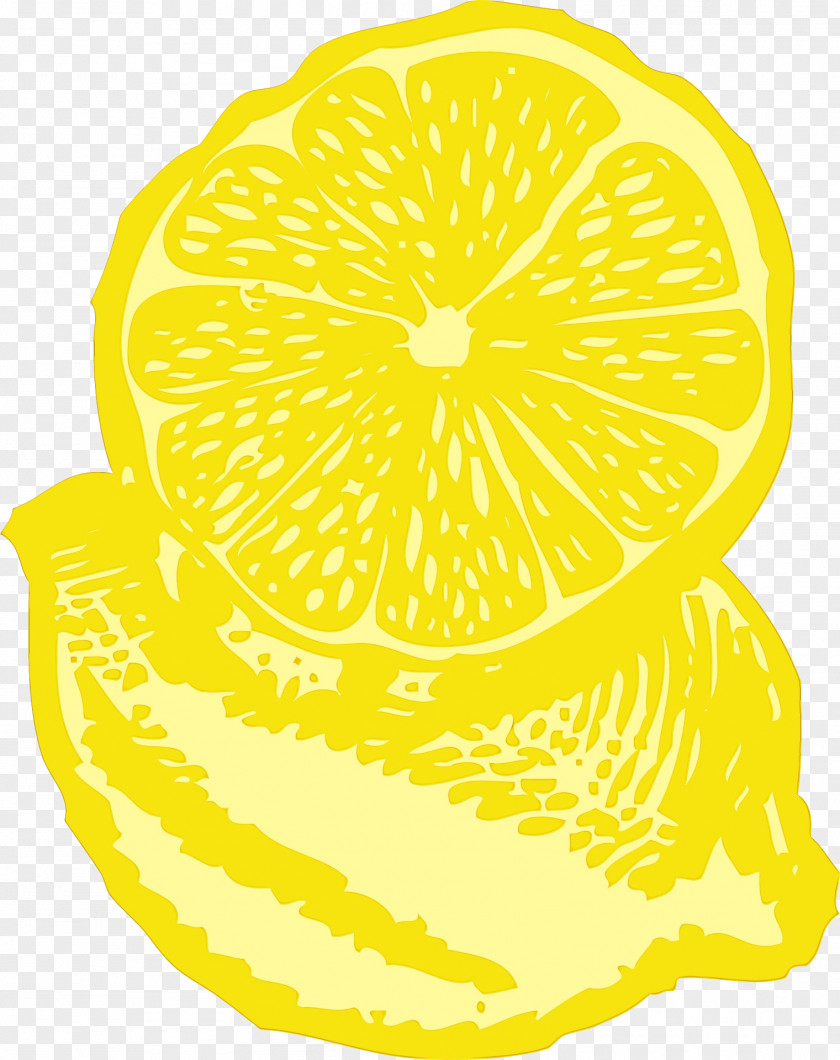 Citron Orange Lemon Slice PNG