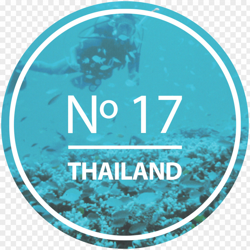 Amazing Thailand Guide To Grace ELLANY Logo Water PNG