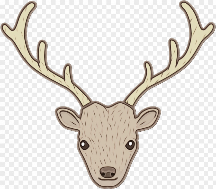 Barren Ground Caribou Moose Reindeer PNG