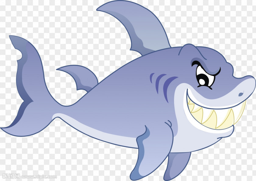 Cartoon Shark PNG