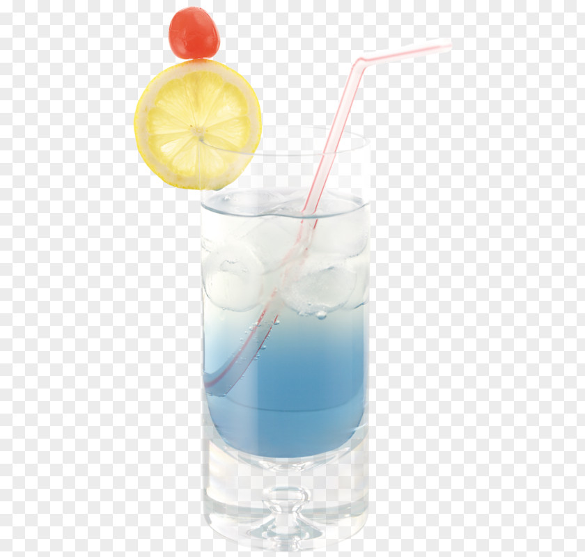 Cocktail Garnish Fizzy Drinks Centerblog PNG