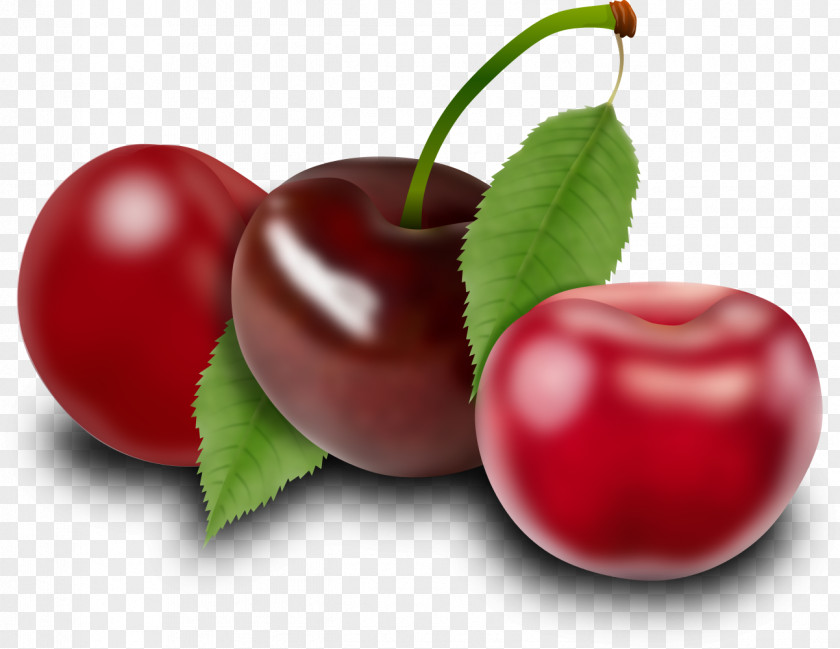 Fresh Cherries Barbados Cherry Cranberry Fruit Food PNG