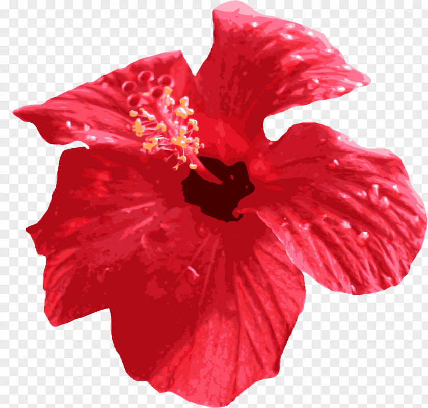 Red Flower Download PNG