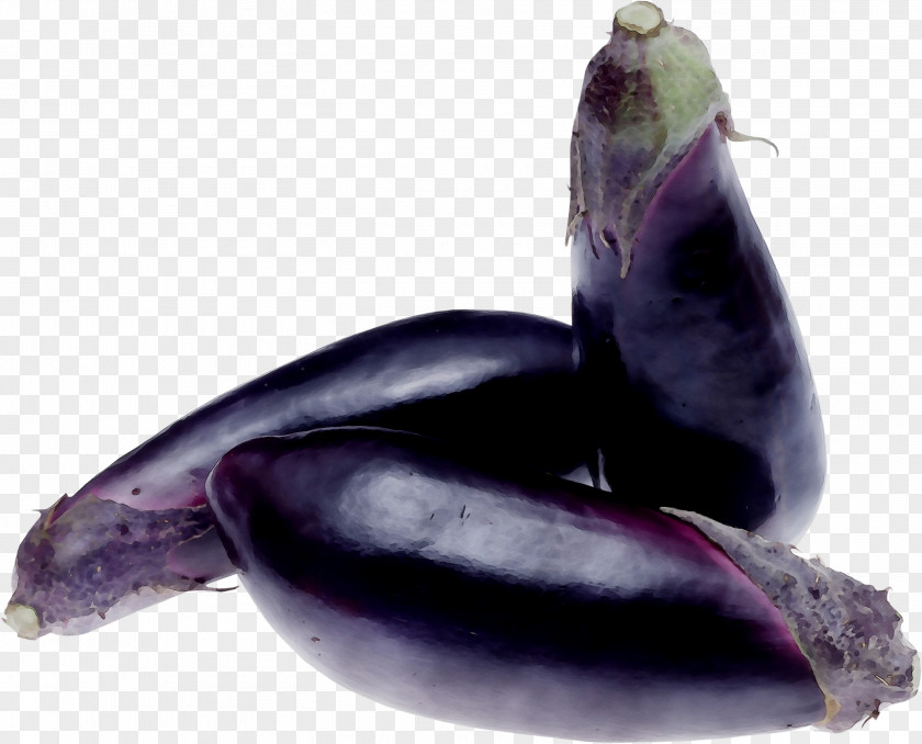 Sea Lion Purple Aubergines PNG