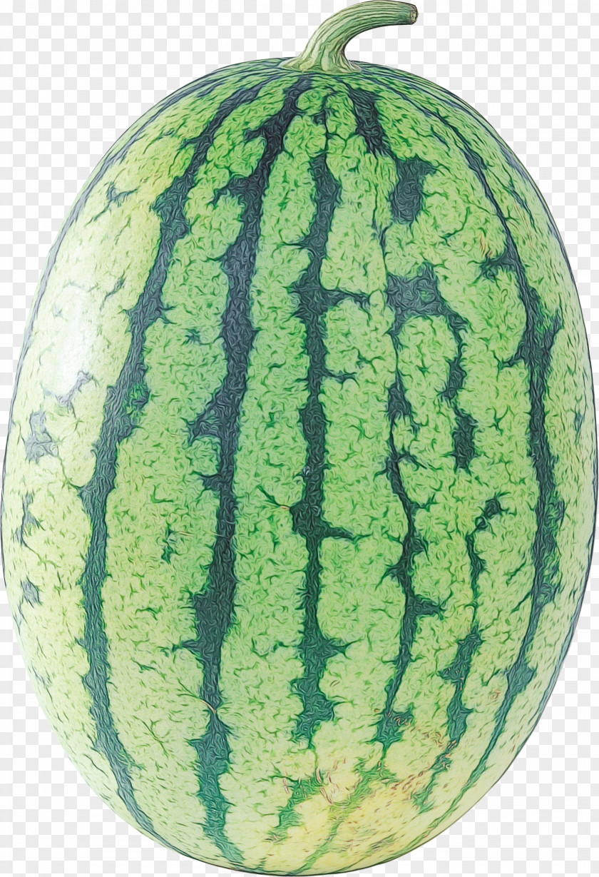 Seedless Fruit Vegetable Watermelon Cartoon PNG