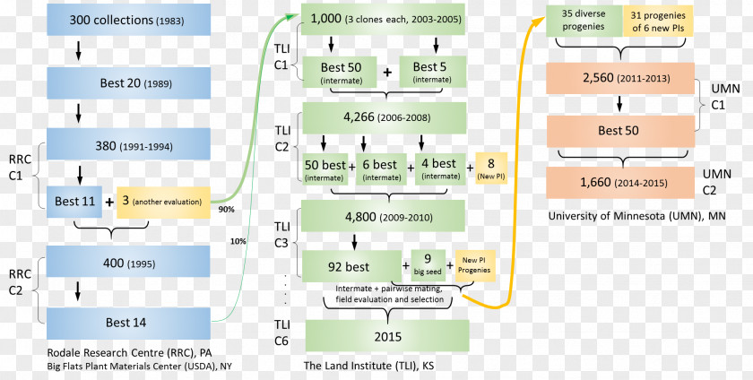 Wheatgrass Genomics Genome Plant Breeding Marker-assisted Selection Association Mapping PNG