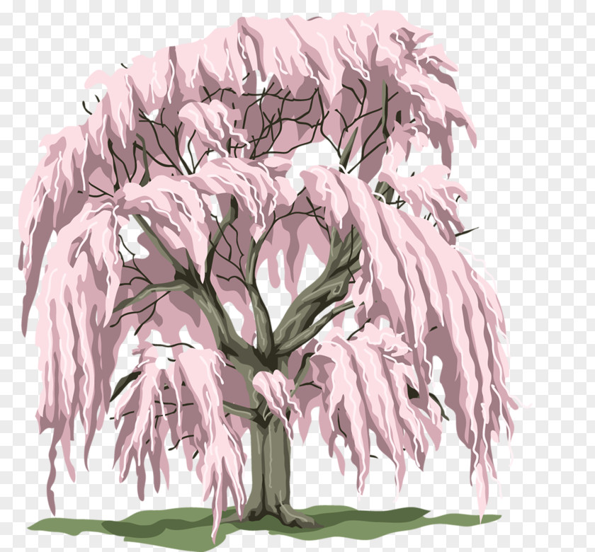 Cherry Blossom Tree PNG