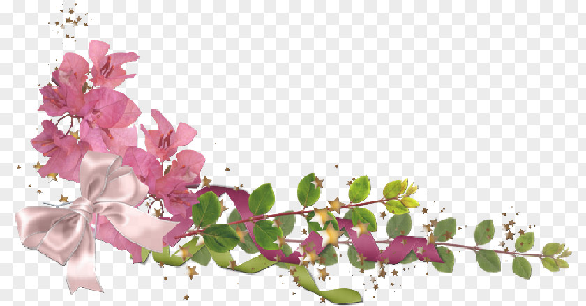 Flower Image Clip Art Borders And Frames PNG