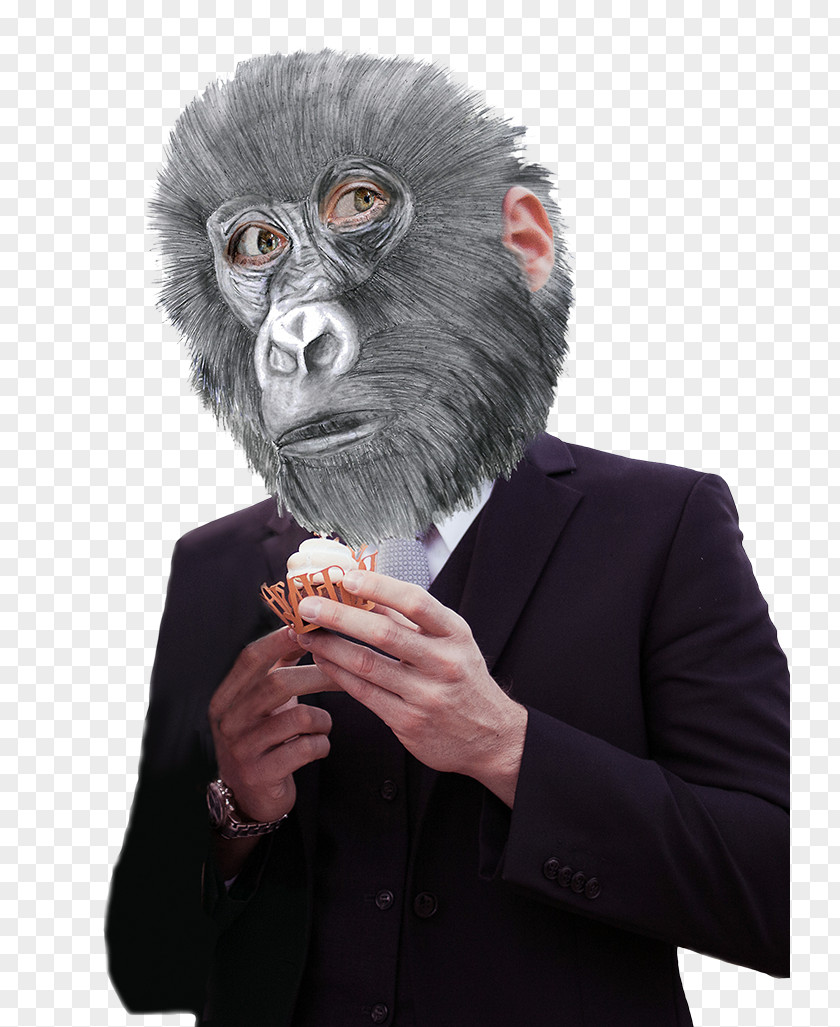 Gorilla Monkey Mask Snout Ape PNG