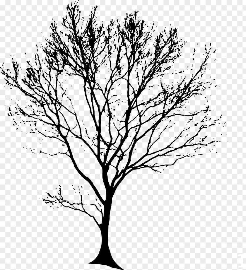 Line Drawing Architecture Tree Silhouette Clip Art PNG