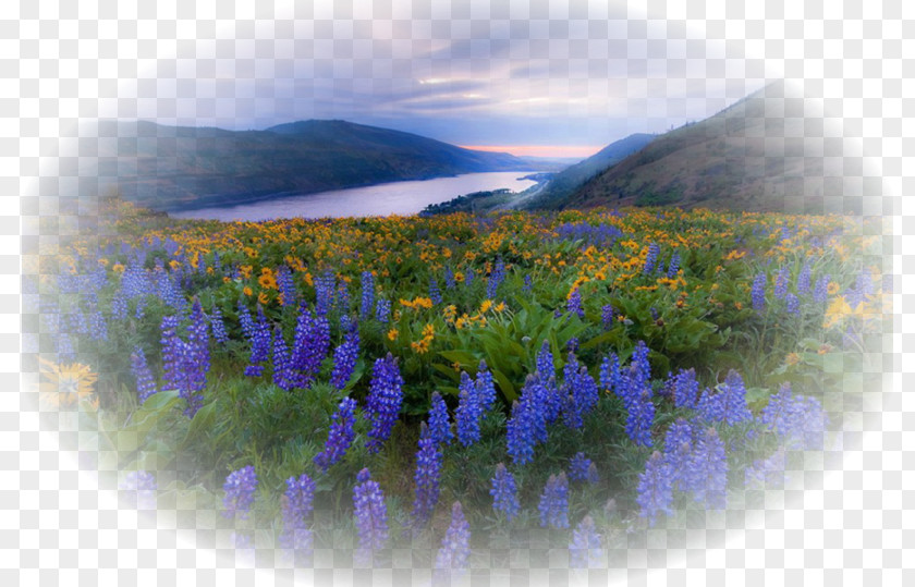 Mountain Takshanuk Mountains Mount Ripinski Altai Republic Loch PNG