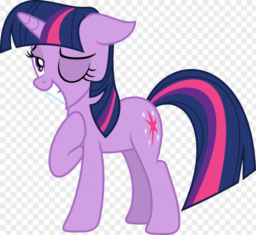 My Little Pony Twilight Sparkle Applejack Rarity Pinkie Pie PNG