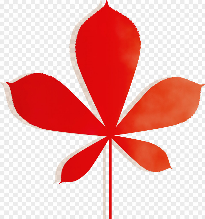 Petal Leaf Flower Plants Science PNG