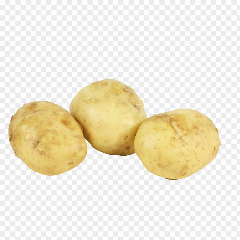 Potato Russet Burbank Yukon Gold Irish Candy Varieties Vegetable PNG