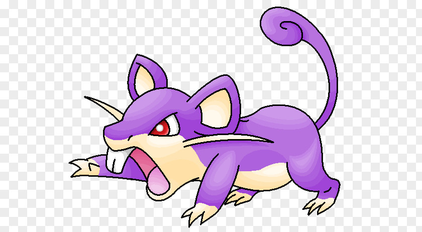 Rattata Whiskers Cat Dog Canidae Clip Art PNG