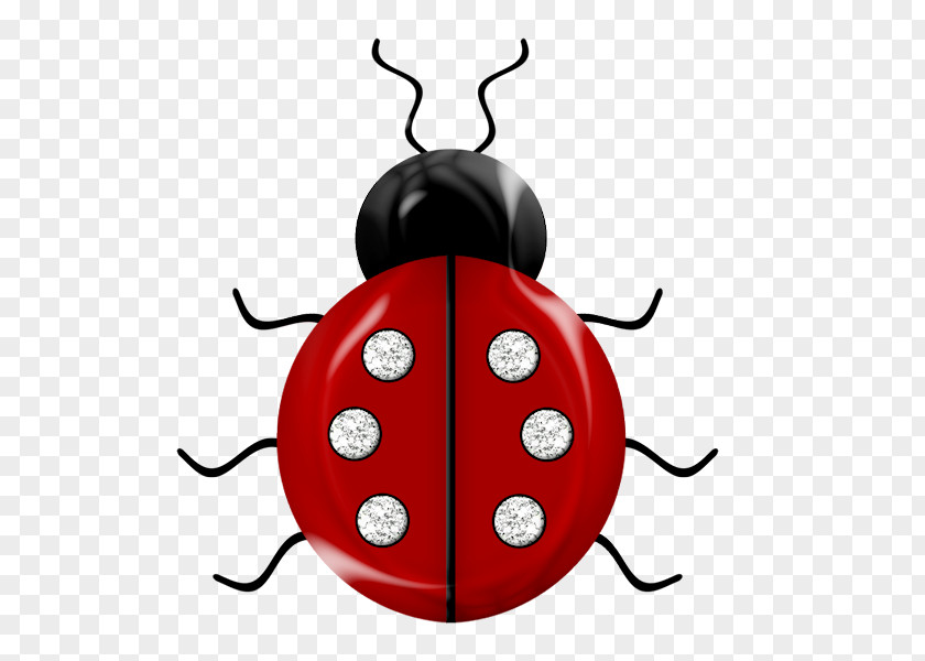Red Beetle Insect Ladybird Easter Egg Bee Clip Art PNG