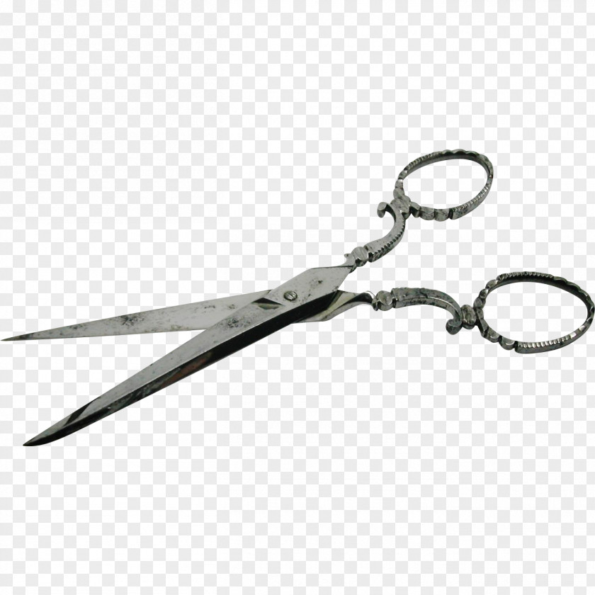 Scissors Nipper Tool Hair-cutting Shears PNG