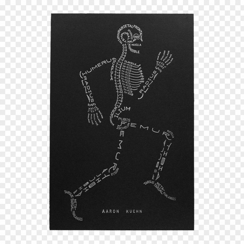 Skeleton Printing The Skeletal System Human Body Anatomy PNG