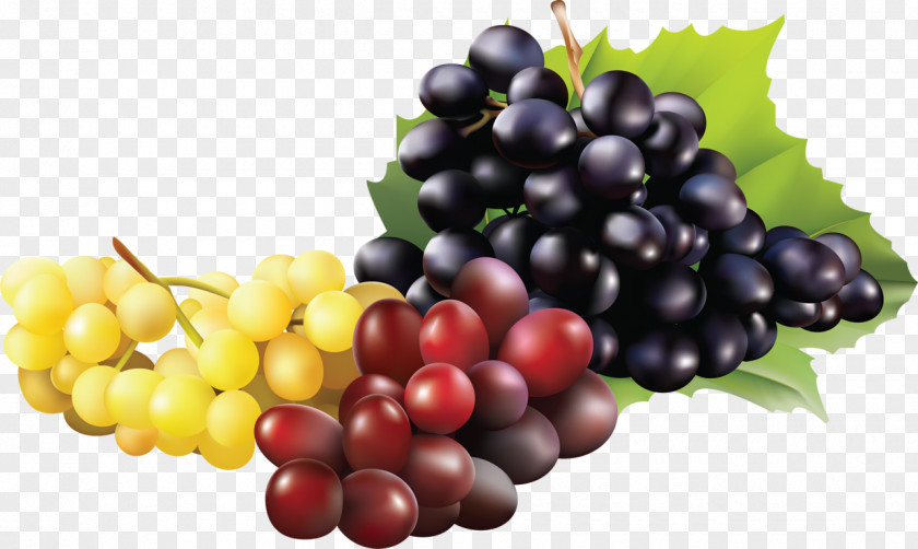 Sultana Grape Kyoho Wine Fruit PNG