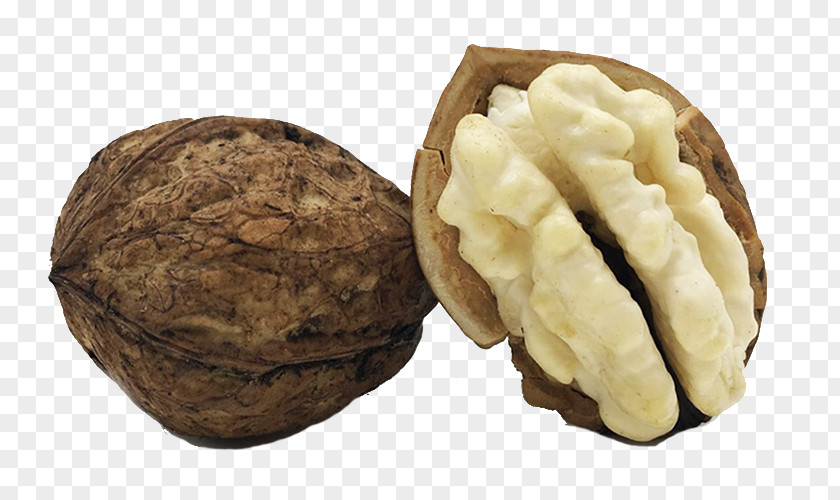 Walnut Meat With Skin English Peel PNG