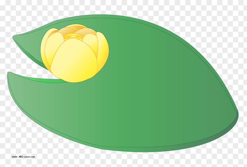 Yellow Water Cliparts Nymphaea Alba Leaf Water-lily Clip Art PNG